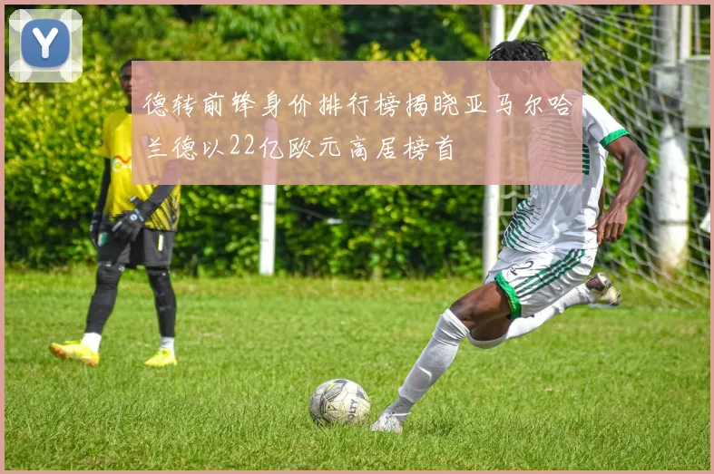 德转前锋身价排行榜揭晓亚马尔哈兰德以22亿欧元高居榜首