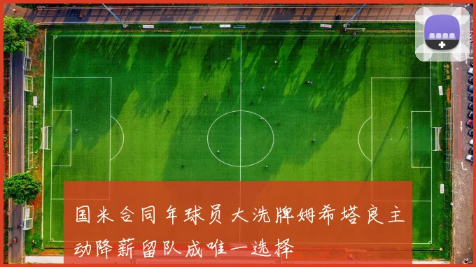 国米合同年球员大洗牌姆希塔良主动降薪留队成唯一选择